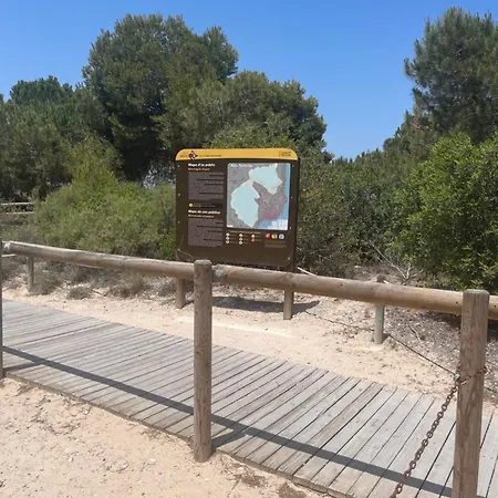 Cura Torrevieja